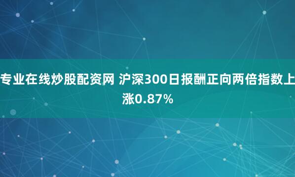 专业在线炒股配资网 沪深300日报酬正向两倍指数上涨0.87%
